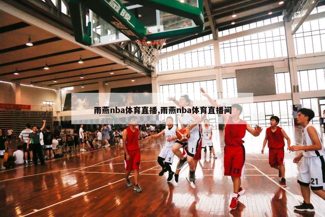 雨燕nba体育直播,雨燕nba体育直播间