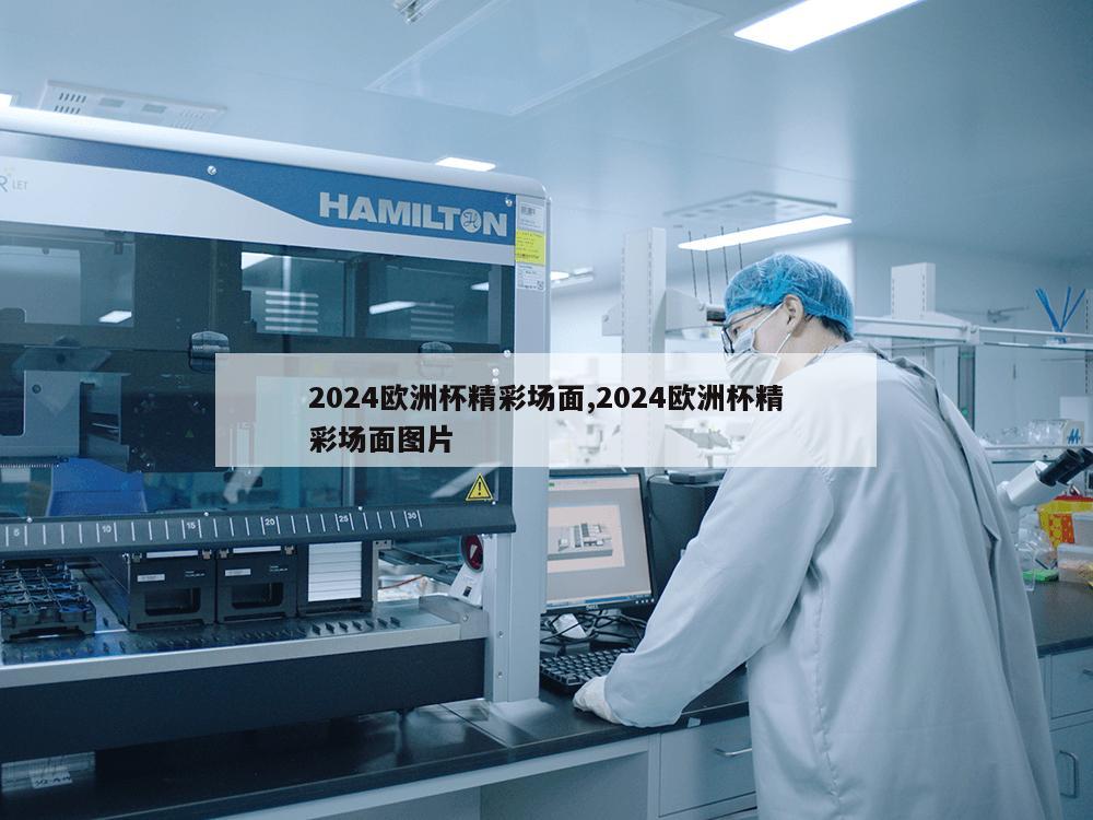 2024欧洲杯精彩场面,2024欧洲杯精彩场面图片