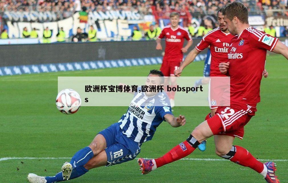 欧洲杯宝博体育,欧洲杯 bobsports