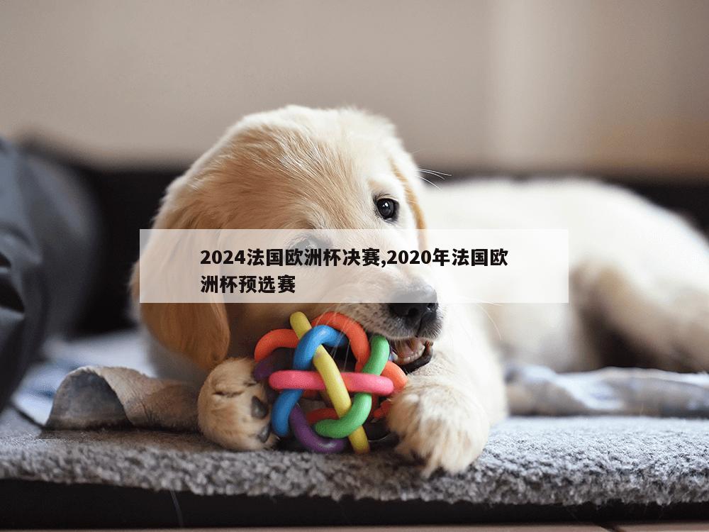 2024法国欧洲杯决赛,2020年法国欧洲杯预选赛