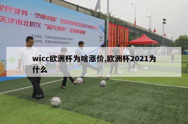 wicc欧洲杯为啥涨价,欧洲杯2021为什么