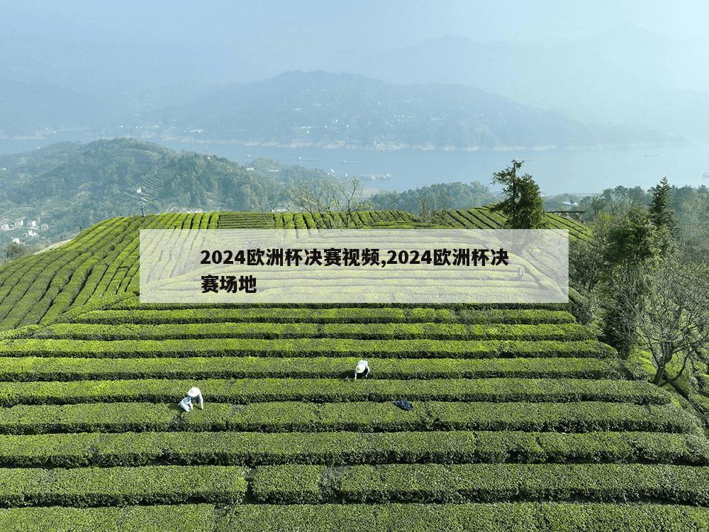 2024欧洲杯决赛视频,2024欧洲杯决赛场地