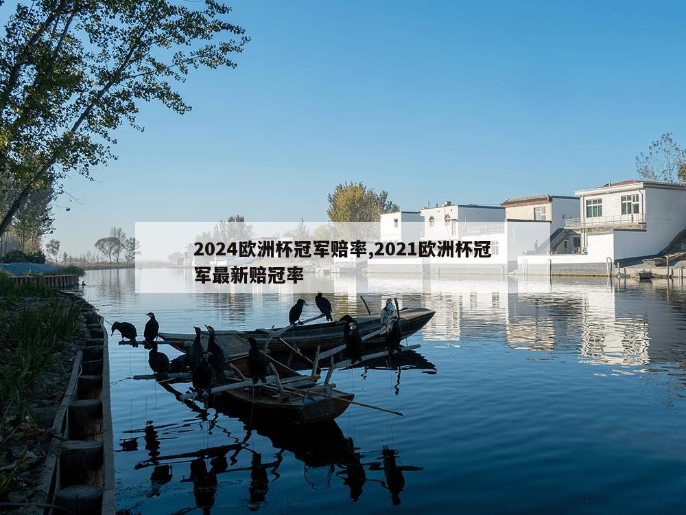 2024欧洲杯冠军赔率,2021欧洲杯冠军最新赔冠率