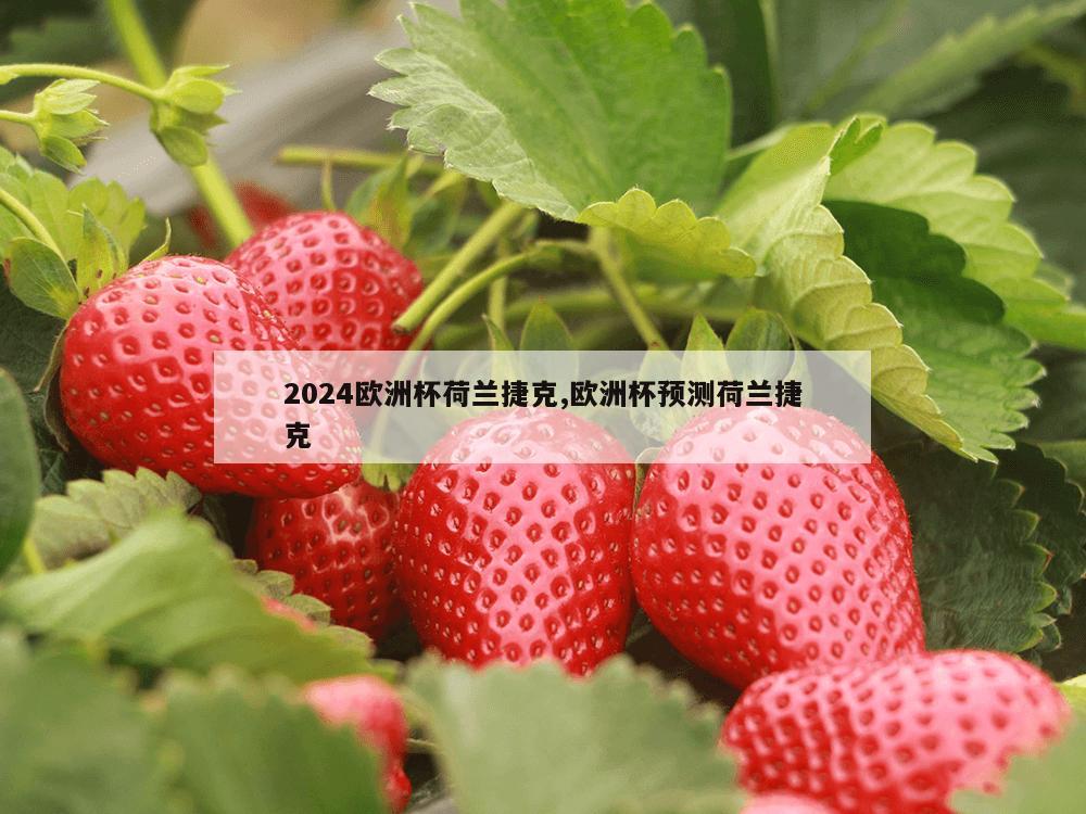 2024欧洲杯荷兰捷克,欧洲杯预测荷兰捷克