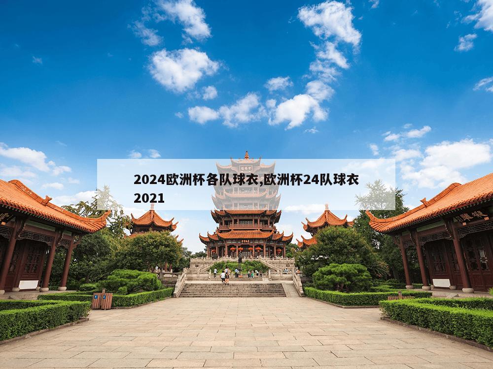 2024欧洲杯各队球衣,欧洲杯24队球衣2021