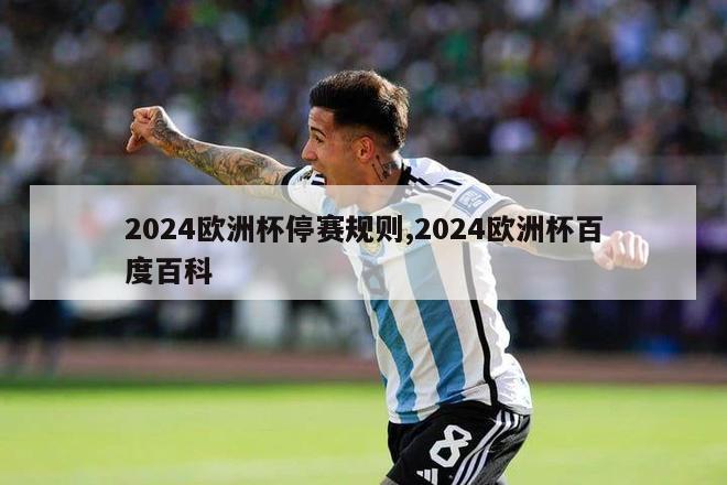 2024欧洲杯停赛规则,2024欧洲杯百度百科