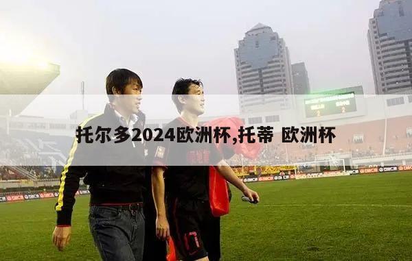 托尔多2024欧洲杯,托蒂 欧洲杯