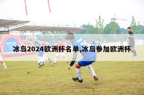 冰岛2024欧洲杯名单,冰岛参加欧洲杯