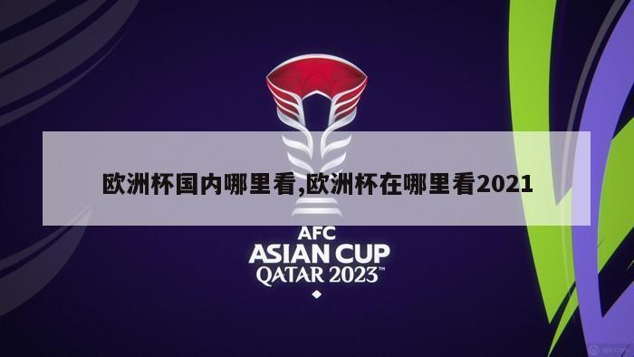 欧洲杯国内哪里看,欧洲杯在哪里看2021