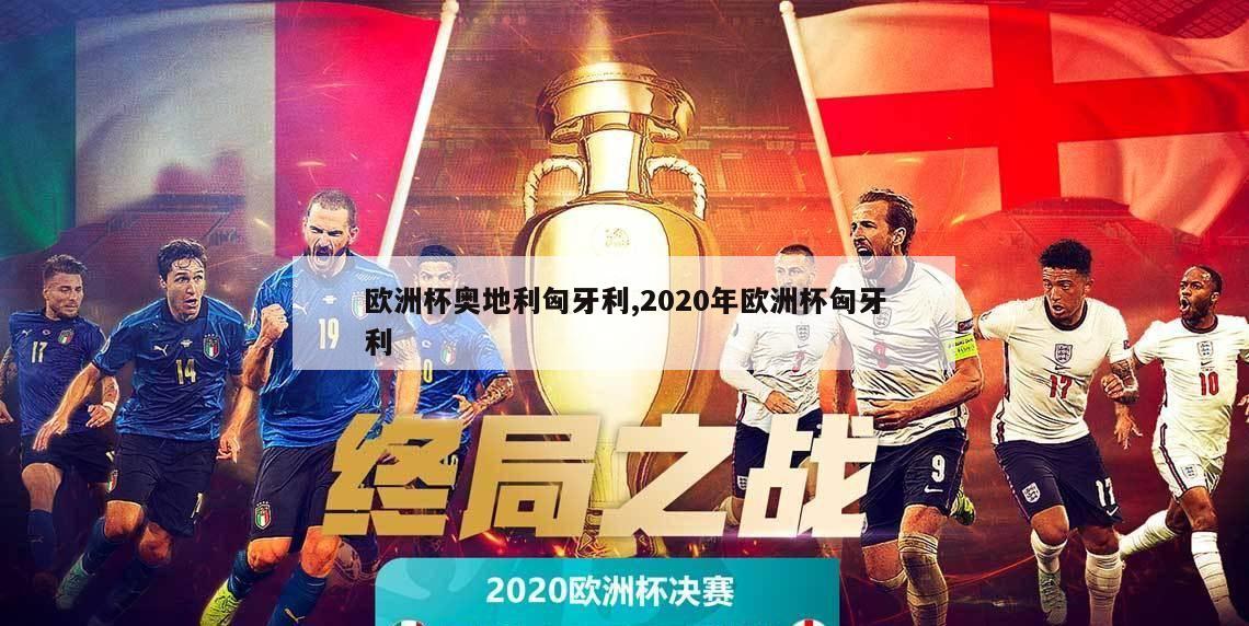 欧洲杯奥地利匈牙利,2020年欧洲杯匈牙利