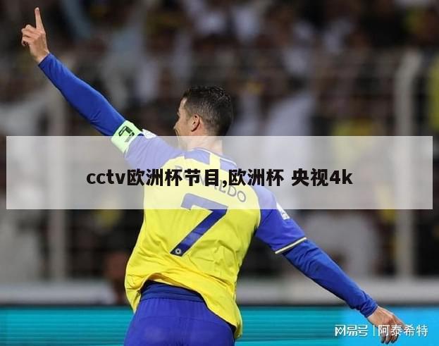 cctv欧洲杯节目,欧洲杯 央视4k