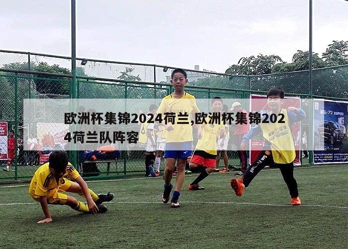 欧洲杯集锦2024荷兰,欧洲杯集锦2024荷兰队阵容