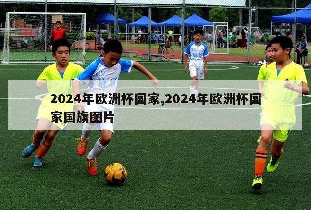 2024年欧洲杯国家,2024年欧洲杯国家国旗图片